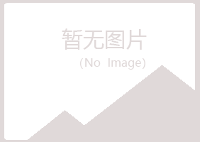 铜仁夏岚采矿有限公司